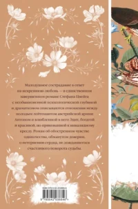 Нетерпение сердца — Художественная литература