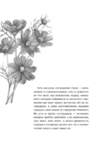 Нетерпение сердца — изображение 3