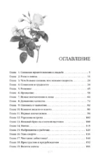 Север и юг — изображение 4