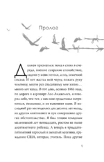 Мальчик на деревянном ящике. Самый младший из списка Шиндлера — изображение 5
