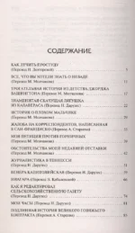 Как меня выбирали в губернаторы — изображение 3