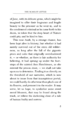 The Scarlet Letter — изображение 6