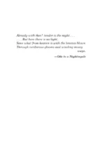 Tender is the Night — изображение 4