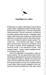 Птичьи певцы — изображение 5