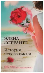 Неаполитанский квартет. Комплект из 4-х книг — изображение 2