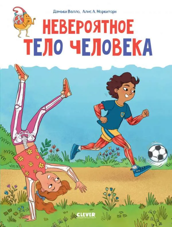 9785002113712_0 Удивительные энциклопедии. Невероятное тело человека. ВАЛЛО Д.