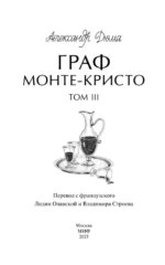Граф Монте-Кристо. Том 3. Вечные истории. Young Adult — изображение 5