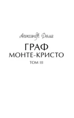 Граф Монте-Кристо. Том 3. Вечные истории. Young Adult — изображение 6