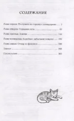 Прачечная, стирающая печали — изображение 3