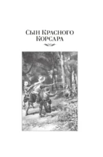 Сын Красного Корсара. Последние флибустьеры — изображение 5