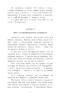Чорны замак Альшанскі — изображение 6