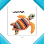 Хто хаваецца ў моры? — изображение 3