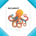 Хто хаваецца ў моры? — изображение 5