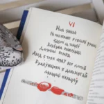 Палескія рабінзоны — изображение 3