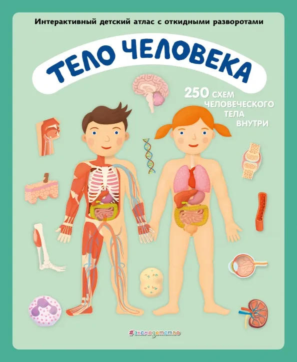 9785041125011_0 Тело человека. Интерактивный детский атлас с откидными разворотами. Ружичка Олдрих