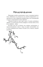 Канашибари. Пока не погаснет последний фонарь. Том 4 — изображение 3