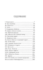Рыцарь-призрак — изображение 3