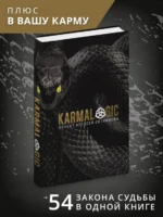 Karmalogic — изображение 2