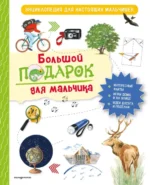 Большой подарок для мальчика. Энциклопедия для настоящих мальчишек. Анастасия Занонцелли