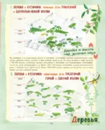 Большой подарок для девочки. Энциклопедия для настоящих девчонок — изображение 5