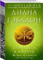 Стрекоза в янтаре — изображение 2