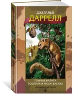 Гончие Бафута. Зоопарк в моем багаже — изображение 2