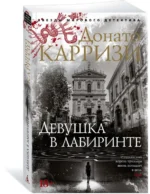 Девушка в лабиринте — изображение 2