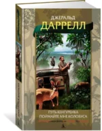 Путь кенгуренка. Поймайте мне колобуса — изображение 2