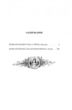 Приключения Тома Сойера и Гекльберри Финна — изображение 4