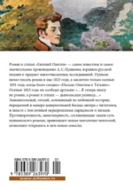 Евгений Онегин — изображение 2