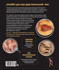 Первобытное искусство. Сокровища древних пещер — Детская познавательная литература