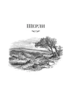 Шерли. Городок — изображение 4