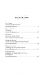 Сияние полной луны. Японские лирические дневники — изображение 4