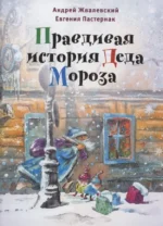 Правдивая история Деда Мороза: роман-сказка. Андрей Жвалевский