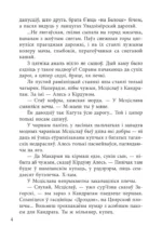 Зброя — изображение 4