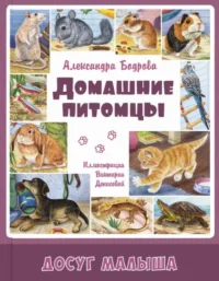 Домашние питомцы. Александра Бодрова