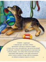 Домашние питомцы — изображение 3