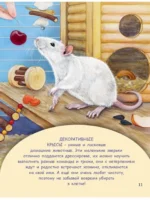 Домашние питомцы — изображение 5