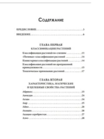 Магия растений — изображение 2