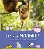 Это мой малыш! Детёныши разных животных. Гагельдонк Мак ван