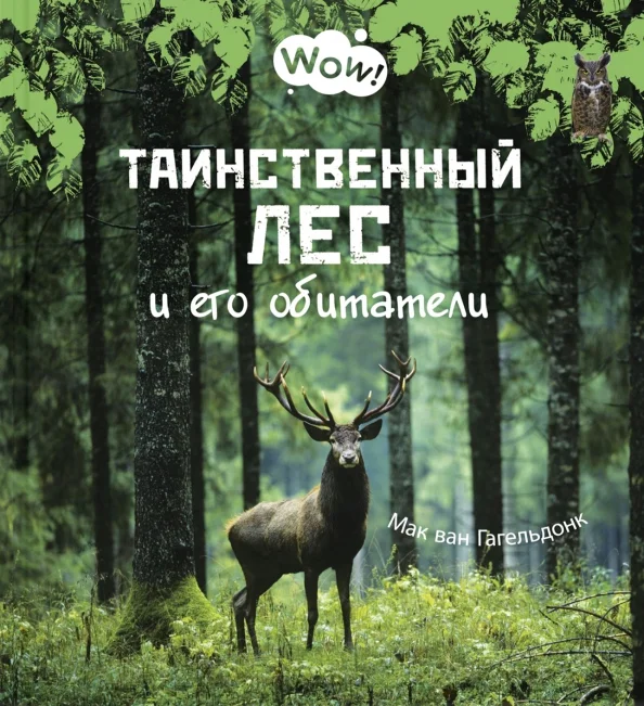 9785919219897_0 Таинственный лес и его обитатели. Гагельдонк Мак ван