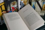 Пнин — изображение 5