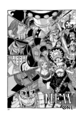 One Piece. Большой куш. Книга 24. Те, кого забыла Дрессроза — изображение 12