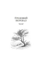 Грозовой перевал. Стихотворения — изображение 4