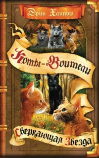 Коты-воители. Цикл Начало племен. Сверкающая Звезда.. Эрин Хантер