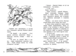 Солнечный мальчик — изображение 3