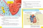 Подарок для почемучки. Тело человека — изображение 4