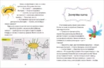 Вирусы и бактерии — изображение 6