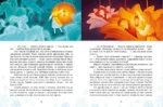 Снежная королева — изображение 8