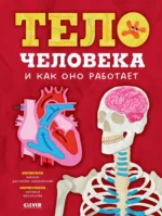 Тело человека и как оно работает. Амина Даххаева-Шамхалова